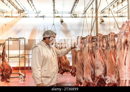 Boucher examinant la viande suspendue dans l'abattoir Banque D'Images
