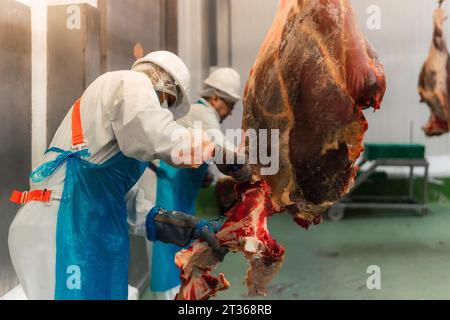 Bouchers coupant les cuisses de vache à l'abattoir Banque D'Images