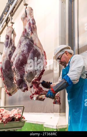 Ouvrier de casier à viande coupant la jambe de vache dans l'abattoir Banque D'Images