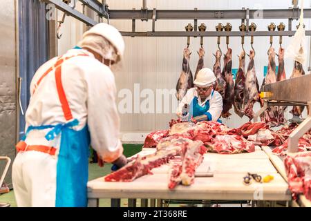 Les ouvriers des casiers à viande coupent les côtes de vache à l'abattoir Banque D'Images