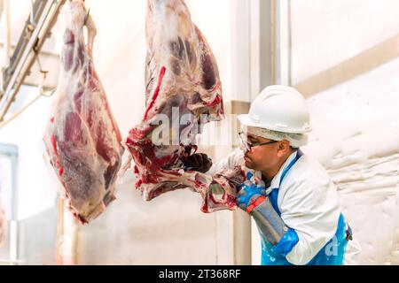 Ouvrier d'abattoir coupant la jambe de vache dans un casier à viande Banque D'Images