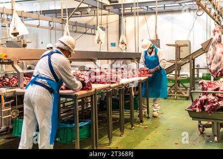 Ouvriers d'abattoirs coupant la viande des côtes de vache à l'usine Banque D'Images