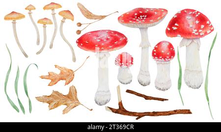 Agaric de mouche rouge, tabourets de toadstool, feuilles, branche, graines de tilleul. Aquarelle illustration botanique réaliste dessinée à la main avec des muscariamushrooms Amanita pour Banque D'Images