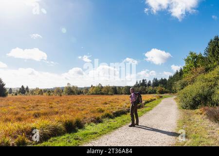 Belgique, province de Liège, randonneur senior admirant le paysage environnant le long du sentier dans les Hautes Fens - Parc naturel de l'Eifel Banque D'Images