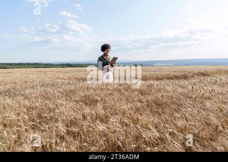 Agronome utilisant le comprimé PC dans le champ d'orge Banque D'Images