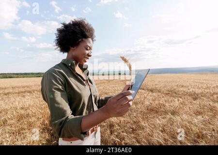 Jeune ouvrier agricole afro tenant un comprimé PC et examinant de l'orge dans les champs Banque D'Images