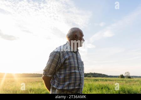 Homme âgé debout dans le champ au coucher du soleil Banque D'Images