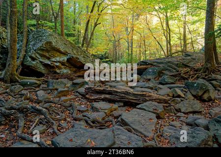 Un ruisseau sec avec le fond plein de feuilles tombées et de bûches entourées de rochers et de rochers pendant une sécheresse dans le Tennessee avec le changement de couleurs Banque D'Images