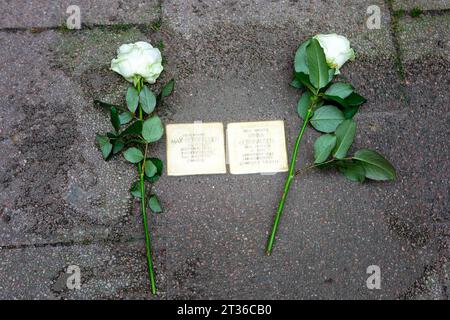 Wiesbaden, Allemagne - 17 octobre 2023 : un maçon pose Stolpersteine sur un trottoir dans le centre-ville de Wiesbaden, Allemagne. Un Stolperstein (littéralement « pierre d'achoppement ») est un cube de béton muni d'une plaque de laiton portant le nom et les dates de vie des victimes de l'extermination nazie. Banque D'Images