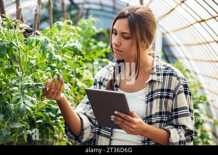 Jeune agriculteur avec tablette PC examinant la plante en serre Banque D'Images