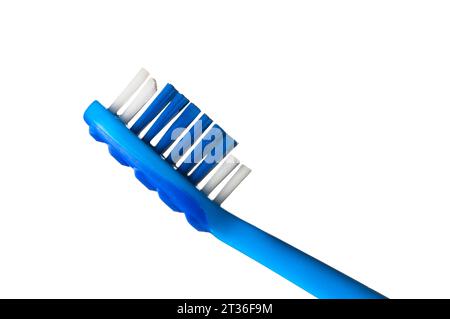 Photo studio d'une tête de brosse à dents en plastique bleu découpée sur un fond blanc - John Gollop Banque D'Images