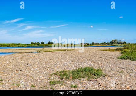 Plaine inondable sèche sur la rive de la rivière Maas avec peu d'eau, campagne belge avec des arbres contre ciel bleu en arrière-plan, journée ensoleillée dans la nature Maasvallei Banque D'Images