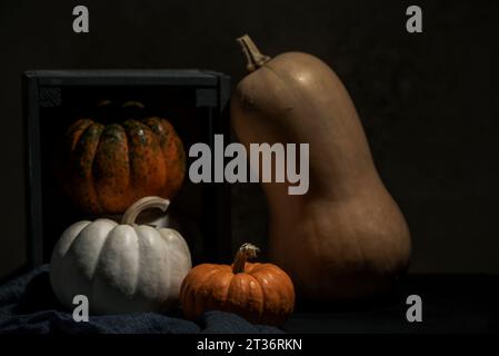 Diverses citrouilles avec des objets en bois sur un fond sombre, gros plan, macrophotographie Banque D'Images