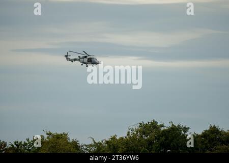 Hélicoptère de l'armée britannique AgustaWestland AW159 Wildcat AH1 en vol à basse altitude Banque D'Images