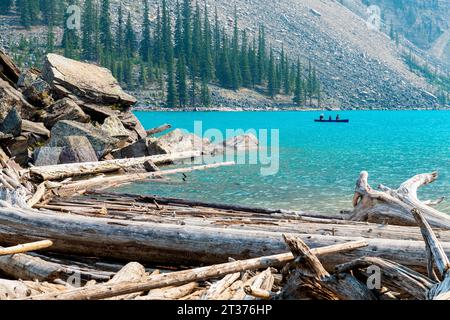 Troncs d'arbres flottants sur le lac Moraine avec des kayakistes méconnaissables en arrière-plan, parc national Banff, Alberta, Canada. Banque D'Images