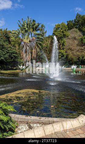 Fontaine dans les jardins botaniques de la ville et également utilisé pour les spectacles de paysages lumineux dans la soirée, Brisbane, Australie Banque D'Images