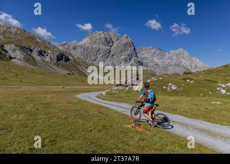 VTT avec Vizsla dans le Val Mora près de Doess Radond, derrière Piz Murtaroel et Pala Gronda, Tschierv à Muenstertal, Grisons, Suisse Banque D'Images