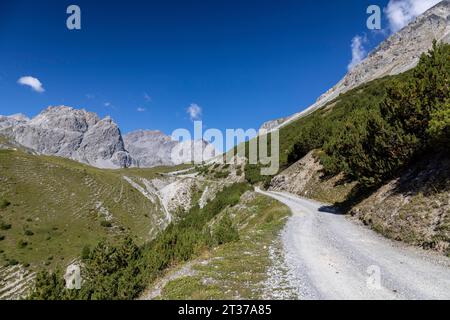 Val Mora près de Doess Radond, Tschierv dans le Val Muestair, Grisons, Suisse Banque D'Images