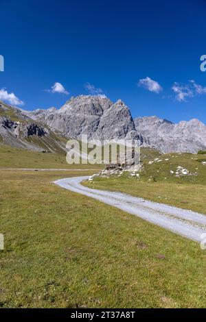 Val Mora près de Doess Radond, en arrière-plan Piz Murtaroel et Piz Pala Gronda, Tschierv dans le Val Muestair, Grisons, Suisse Banque D'Images