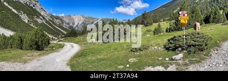 Panneau de signalisation, Alp Sprella, Val Mora, Tschierv im Muenstertal, Engadin, Graubuenden, Suisse Banque D'Images