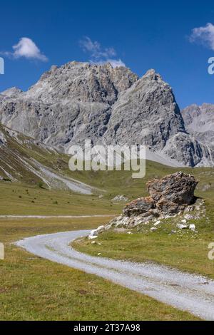 Val Mora près de Doess Radond, en arrière-plan Piz Murtaroel et Piz Pala Gronda, Tschierv dans le Val Muestair, Grisons, Suisse Banque D'Images