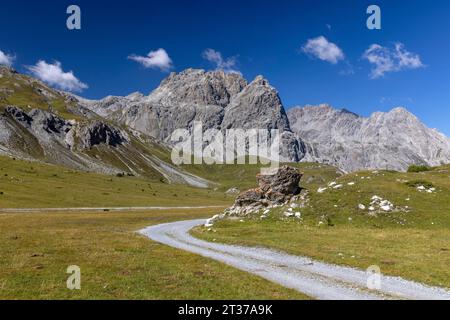 Val Mora près de Doess Radond, en arrière-plan Piz Murtaroel et Piz Pala Gronda, Tschierv dans le Val Muestair, Grisons, Suisse Banque D'Images