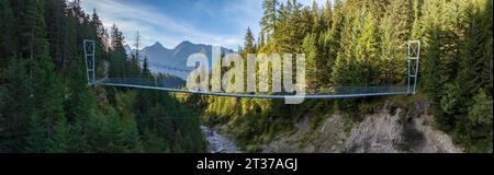 Pont suspendu Aclas d'Alvagni, tir de drone, Alp Aclas Dafora, Alvaneu, Grisons, Suisse Banque D'Images