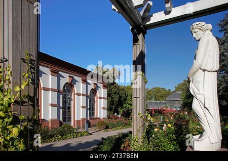 Rosenbrunn House, statue, rosiers, Palmengarten, Francfort-sur-le-main, Hesse, Allemagne Banque D'Images
