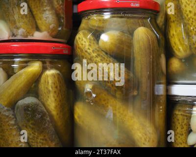 Cornichon mariné dans des bocaux en verre. Nourriture en conserve maison. Banque D'Images