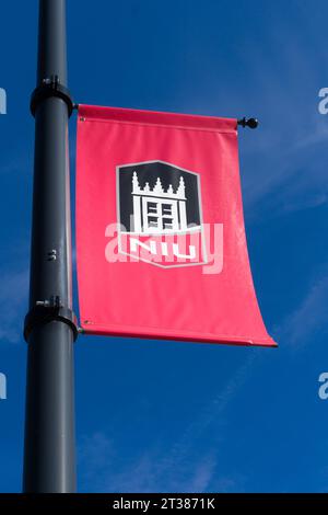 DEKALB, il, États-Unis - 17 OCTOBRE 2023 : drapeau de l'université sur le campus de l'université Northern Illinois. Banque D'Images