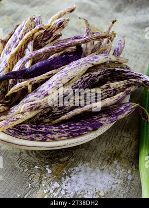 Haricots de langue dragon violette frais biologiques dans un bol Banque D'Images