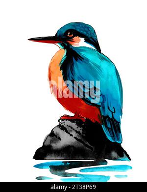 Oiseau Kingfisher. Dessin à l'encre et à l'aquarelle dessinés à la main Banque D'Images