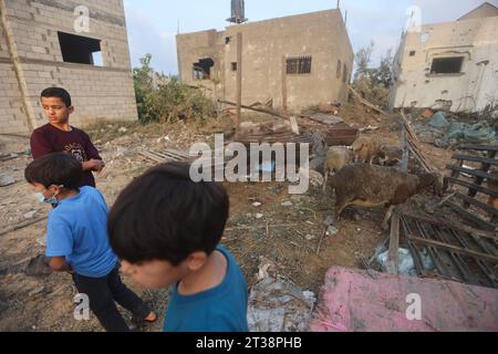 Des enfants palestiniens vus près de moutons blessés après que des avions israéliens ont bombardé une maison dans la ville de Khan Yunis, dans le sud de la bande de Gaza. Les Palestiniens déplacés se réfugient dans une école gérée par les Nations Unies, à Khan Yunis, dans le sud de la bande de Gaza, au milieu des combats en cours entre Israël et le groupe palestinien Hamas. Des milliers de personnes, israéliennes et palestiniennes, sont mortes depuis le 7 octobre 2023, après que des militants palestiniens du Hamas basés dans la bande de Gaza sont entrés dans le sud d’Israël dans une attaque surprise qui a conduit Israël à déclarer la guerre au Hamas à Gaza. Banque D'Images