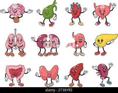 Personnages d'orgues de dessins animés. Mascotte de santé pour les parties internes du corps humain, ensemble d'illustration vectorielle d'anatomie de corps interne d'organe, anatomie de l'homme Illustration de Vecteur