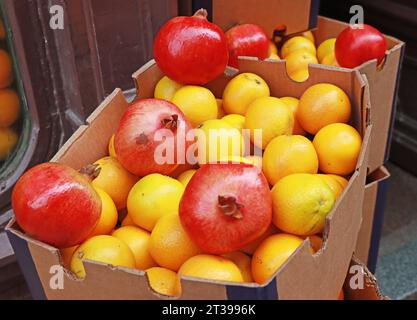 Oranges et grenades dans une boîte en carton sur un marché de rue Banque D'Images