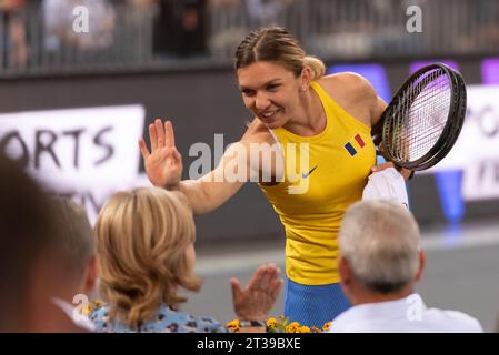 Horia Tecau participe à son match de retraite, avec Simona Halep, Patrick Mouratoglou, Andrei Pavel, Marius Copil, Bethanie Mattek-Sands Banque D'Images