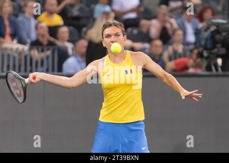 Horia Tecau participe à son match de retraite, avec Simona Halep, Patrick Mouratoglou, Andrei Pavel, Marius Copil, Bethanie Mattek-Sands Banque D'Images