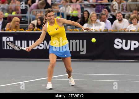 Horia Tecau participe à son match de retraite, avec Simona Halep, Patrick Mouratoglou, Andrei Pavel, Marius Copil, Bethanie Mattek-Sands Banque D'Images