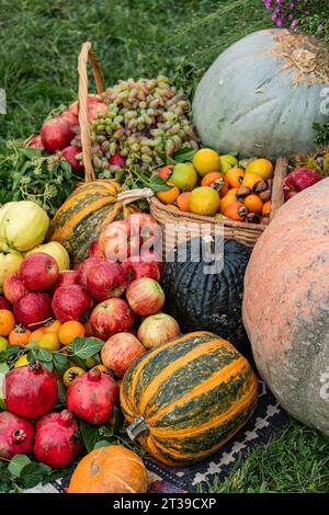 Une variété de fruits frais et de citrouilles, y compris des pommes et des raisins, présentés dans un panier en osier sur un fond herbeux. Banque D'Images