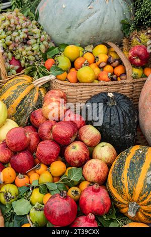 Assortiment de fruits et légumes frais disposés dans des paniers et présentés sur une surface herbeuse, avec des pommes, des oranges, des grenades et divers types Banque D'Images