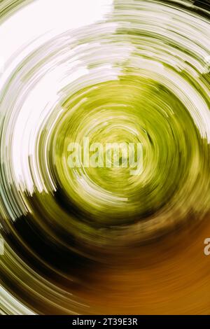 Angle bas de fond abstrait de la forêt filante de l'aube haute séquoia dans la forêt du monument naturel de Secuoyas del Monte Cabezon en plein jour Banque D'Images