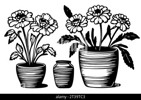 fleurs marigold ensemble feuilles et pot tagetes ou cempasuchil fleurs florissantes mexican dia de los mu Illustration de Vecteur