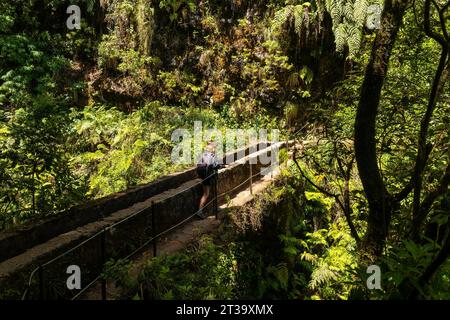 Eine junge Frau auf einer Brücke auf dem Wanderweg Levada do Caldeirao Verde, Queimadas, Madère Banque D'Images