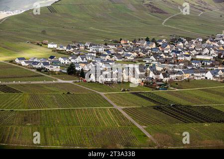 Leiwen, Allemagne. 11 mars 2023. Vue sur la commune de Trittenheim, située dans la célèbre région de Moselle en Allemagne où le vin Riesling est produit. Le village produit du vin issu du cépage Riesling. Chaque année, il y a une fête du vin, qui est une grande attraction pour les touristes.la Moselle est un hommage de la rive ouest du Rhin, coulant sur 545 km à travers le nord-est de la France et l'ouest de l'Allemagne. La rivière entre en Allemagne et coule au-delà de Trèves jusqu'à sa confluence avec le Rhin à Coblence. Crédit : SOPA Images Limited/Alamy Live News Banque D'Images