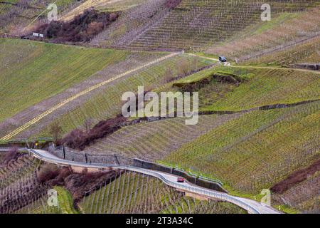 Leiwen, Allemagne. 11 mars 2023. Les vignobles sont vus sur les pentes abruptes de la vallée de la Moselle à Leiwen. Leiwen est l'une des communes viticoles les plus importantes de la Moselle. Le village produit du vin issu du cépage Riesling. Chaque année, il y a une fête du vin, qui est une grande attraction pour les touristes.la Moselle est un hommage de la rive ouest du Rhin, coulant sur 545 km à travers le nord-est de la France et l'ouest de l'Allemagne. La rivière entre en Allemagne et coule au-delà de Trèves jusqu'à sa confluence avec le Rhin à Coblence. Crédit : SOPA Images Limited/Alamy Live News Banque D'Images