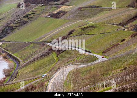 Les vignobles sont vus sur les pentes abruptes de la vallée de la Moselle à Leiwen. Leiwen est l'une des communes viticoles les plus importantes de la Moselle. Le village produit du vin issu du cépage Riesling. Chaque année, il y a une fête du vin, qui est une grande attraction pour les touristes.la Moselle est un hommage de la rive ouest du Rhin, coulant sur 545 km à travers le nord-est de la France et l'ouest de l'Allemagne. La rivière entre en Allemagne et coule au-delà de Trèves jusqu'à sa confluence avec le Rhin à Coblence. (Photo de Karol Serewis / SOPA Images/Sipa USA) Banque D'Images