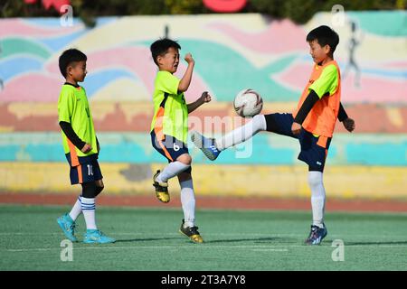 QINGDAO, CHINE - 24 OCTOBRE 2023 - des élèves du primaire s'entraînent sur un terrain de football à Qingdao, dans la province du Shandong, en Chine, le 24 octobre 2023. Banque D'Images