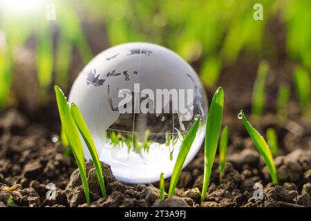 Gersthofen, Bavière, Allemagne - 23 octobre 2023 : globe terrestre en verre à côté de jeunes plantes sur un sol fertile. Protection du climat et concept de changement climatique. Culture écologique et durable des plantes et des aliments *** Erdkugel aus Glas neben jungen wachsenden Pflanzen auf fruchtbarem Boden. Klimaschutz und Klimawandel Konzept. Ökologischer und nachhaltiger Anbau von Pflanzen und Lebensmittel Banque D'Images