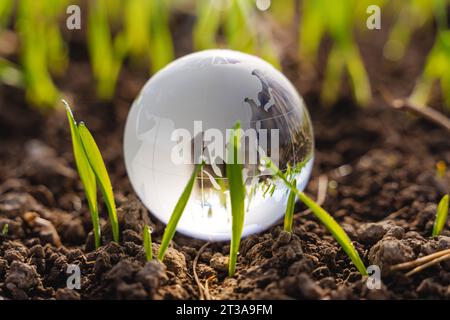 Gersthofen, Bavière, Allemagne - 23 octobre 2023 : globe terrestre en verre sur un champ agricole avec de jeunes plants. Protection du climat et concept de changement climatique. Culture écologique et durable des plantes et des aliments *** Erdkugel aus Glas auf einem Landwirtschaftlichen Feld mit jungen Sätzlingen. Klimaschutz und Klimawandel Konzept. Ökologischer und nachhaltiger Anbau von Pflanzen und Lebensmittel Banque D'Images