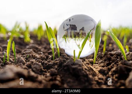 Gersthofen, Bavière, Allemagne - 23 octobre 2023 : globe terrestre en verre sur un champ agricole avec de jeunes plants. Protection du climat et concept de changement climatique. Culture écologique et durable des plantes et des aliments *** Erdkugel aus Glas auf einem Landwirtschaftlichen Feld mit jungen Sätzlingen. Klimaschutz und Klimawandel Konzept. Ökologischer und nachhaltiger Anbau von Pflanzen und Lebensmittel Banque D'Images